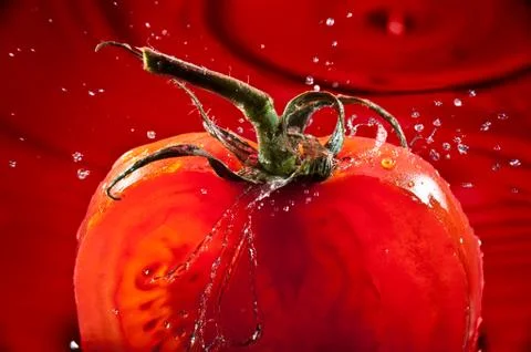 Tomato FreshSplash Stock Photos