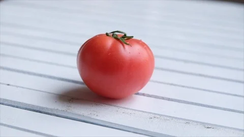 Tomato Fruit Stock Footage 90653054