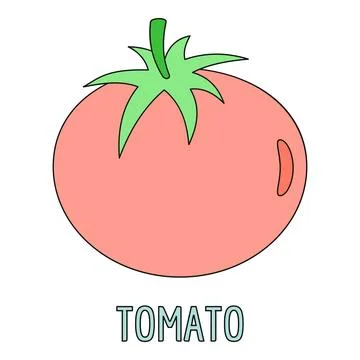 Tomato fruit illustration with text below Stock Illustration