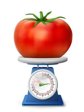 Tomato fruit on scale pan Stock Illustration
