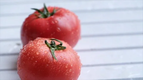 Tomato Fruits Stock Footage 90651544