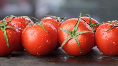 Tomato Fruits Stock Footage 99935501