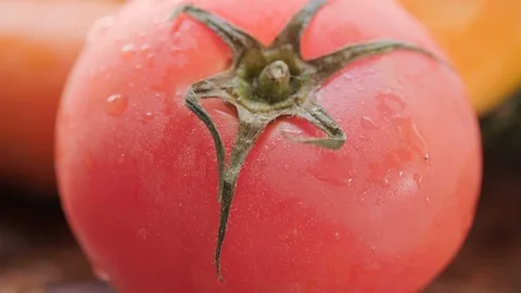 Tomato Fruits Stock Footage 108468165