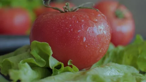 Tomato on a green lettuce leaf Stock Footage 156469503