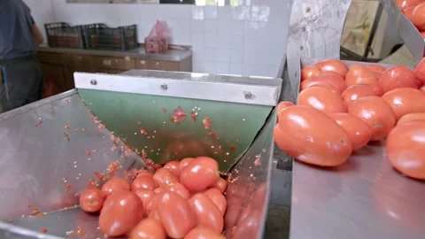 Tomato grinding Stock Footage 171556130