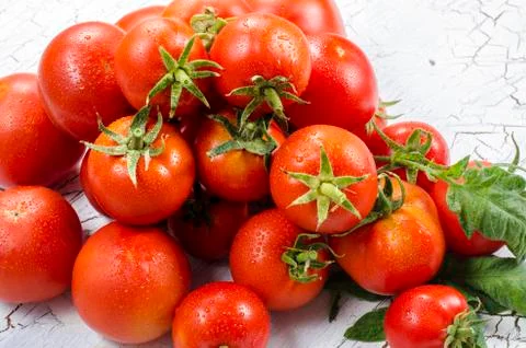 Tomato group Stock Photos