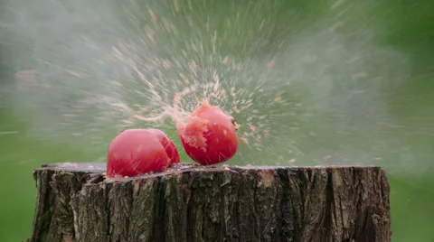 Tomato gun shot in native slow motion scene on green background Stock Footage 64019946