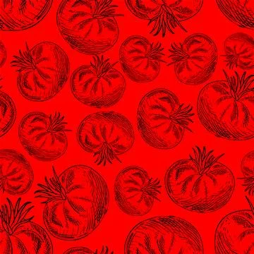 Tomato hand drawing pattern seamless. vegetable sketch background. Vector tex Illustrazione stock