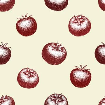 Tomato hand drawn vector seamless pattern. Retro Vegetable engraved style Stock-Illustration
