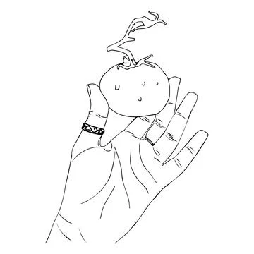 Tomato in hand. Vector illustration on white background. Stock Illustration