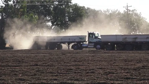 Tomato harvest in California, truck line up to carry away tomatoes Stock Footage