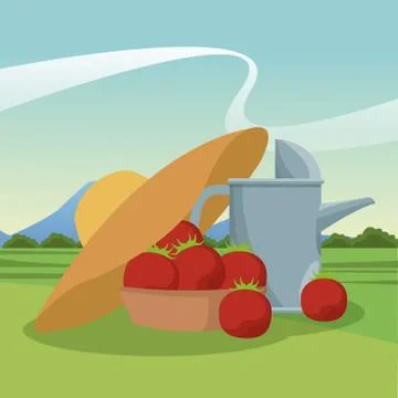 Tomato harvest elements Stock Illustration