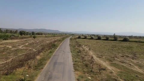 Tomato harvest in the summer in Bursa. Stock Footage 148753110