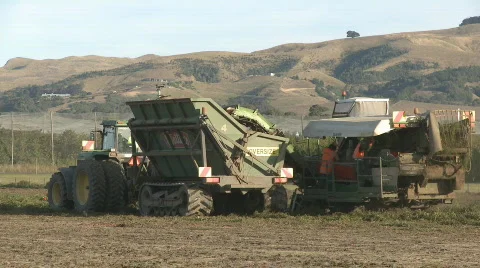 Tomato harvester and bin Stock Footage 670895