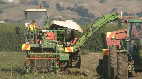 Tomato harvester front on Stock Footage 664880