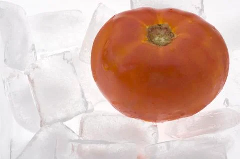 Tomato in the ice Stock Photos