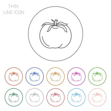 Tomato icon Stock-Illustration