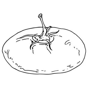 Tomato icon. Stock Illustration