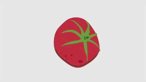 Tomato icon loop Animation video transparent background with alpha channel Stock Footage 234585179