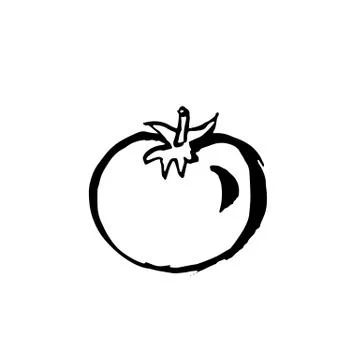 Tomato icon. Vector brush ink illustration. Stock Illustration
