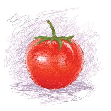 Tomato Stock Illustration