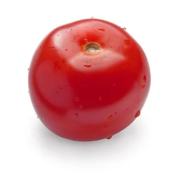 Tomato Иллюстрация