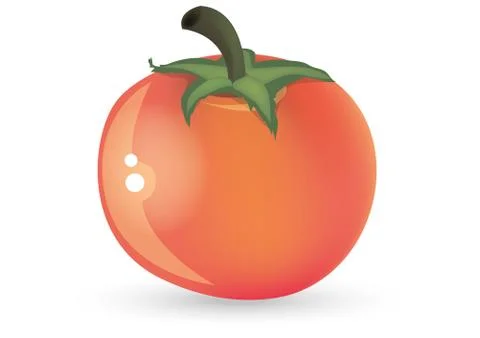 Tomato Stock Illustration