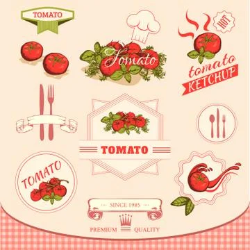 Tomato Stock Illustration