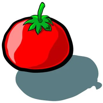 Tomato Stock Illustration