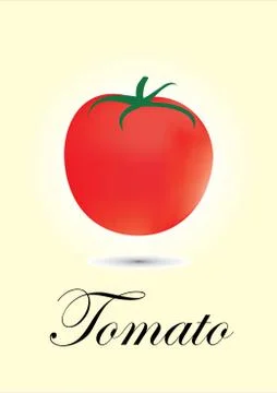 Tomato Stock Illustration