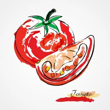 Tomato Stock Illustration