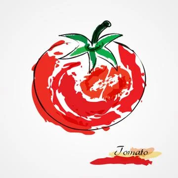 Tomato Illustrazione stock