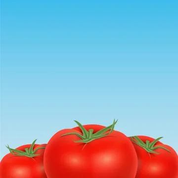 Tomato Stock Illustration