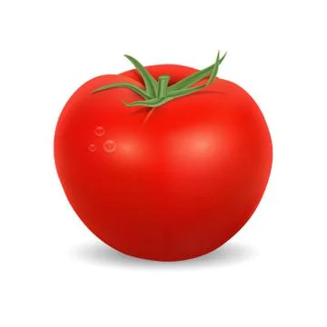 Tomato Stock Illustration
