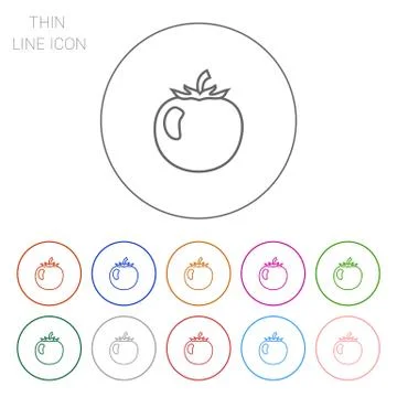 Tomato Illustrazione stock