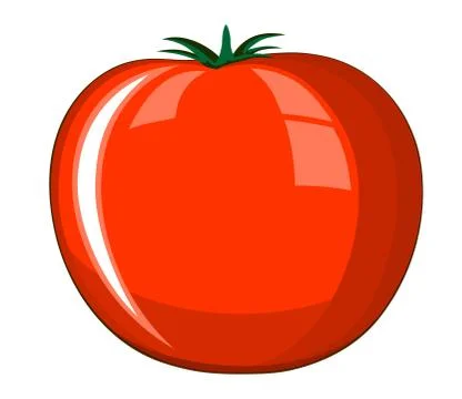 Tomato Stock Illustration