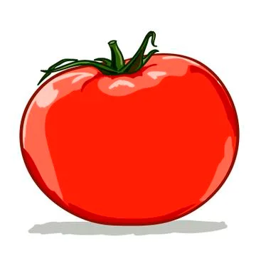 Tomato Stock Illustration