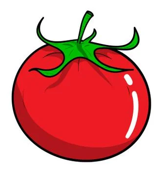 Tomato Stock Illustration