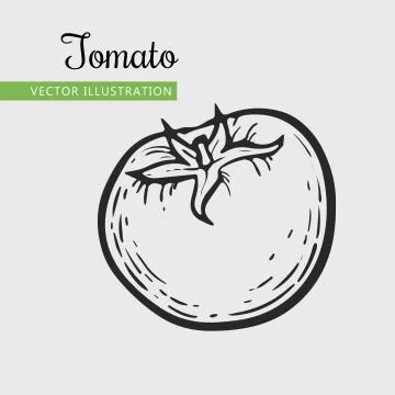 Tomato Stock Illustration
