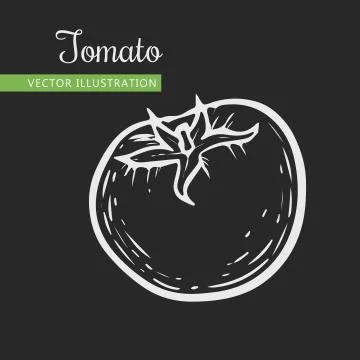 Tomato Stock Illustration