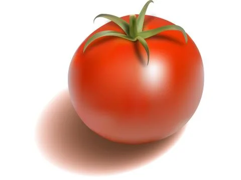 Tomato Stock Illustration