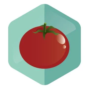 Tomato Stock-Illustration