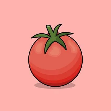 Tomato Stock Illustration