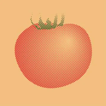 Tomato Illustrazione stock
