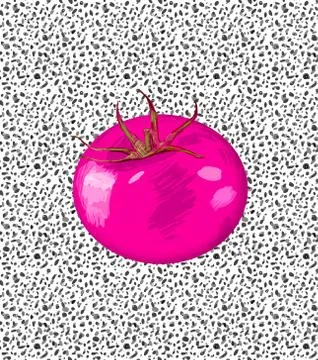 Tomato illustration Illustrazione stock