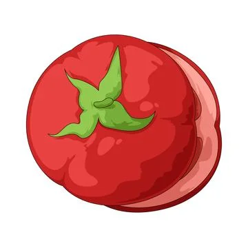 Tomato illustration Stock Illustration