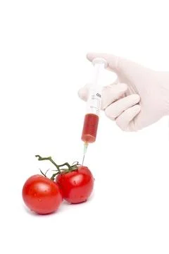 Tomato injection Stock Photos