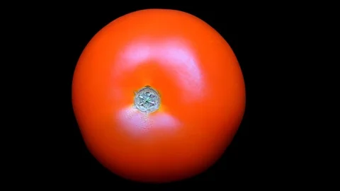 Tomato Isolated on Black Background Stock Footage 91094416