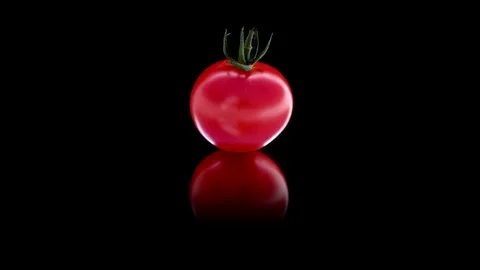 Tomato isolated on black background. looping Stock Footage 89310735