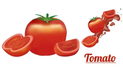A Tomato isolated Illustrazione stock